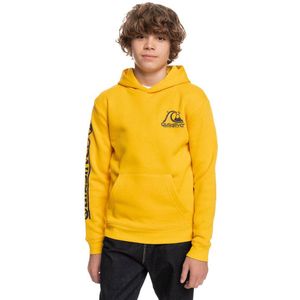 Quiksilver Rolling Circle Sweatshirt Geel 16 Years Jongen