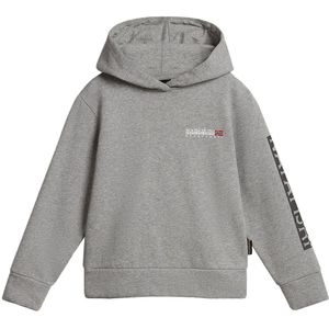 Napapijri B-neutrinos Hoodie