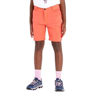 Dare2b Reprise Ii Korte Broek