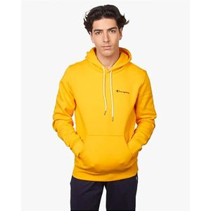 Champion 214749 Hoodie