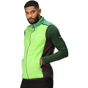 Regatta Halton Vii Vest