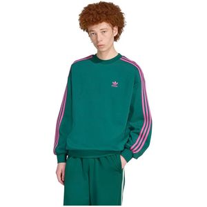 Adidas Originals Adicolor Oversized Crew Sweatshirt