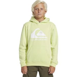 Quiksilver Big Logo Hoodie