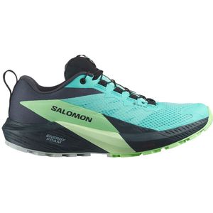 Salomon Sense Ride 5 Goretex Trail Running Shoes Blauw EU 44 Vrouw