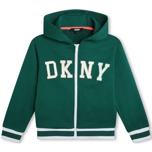 Dkny D60014 Hoodie Groen 12 Years