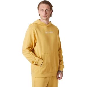 Helly Hansen Core Hoodie