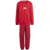 Adidas - Disney 100 - Trainingspak - Katoenmix - Kinderen