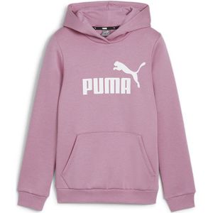 Puma Ess Logo Hoodie