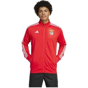 Track suit jas Benfica Lisbonne DNA 2024/25