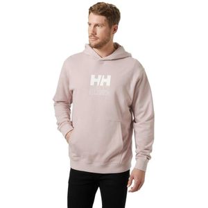 Helly Hansen Core Graphic Hoodie