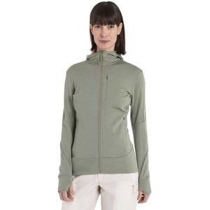 Icebreaker Merino 260 Quantum Iv Full Zip Sweatshirt Groen S Vrouw