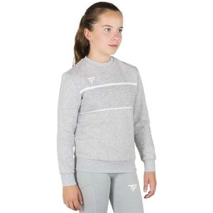 Tecnifibre Team Sweatshirt