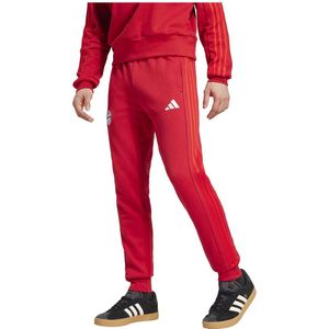 Adidas Fc Bayern Munich 24/25 Dna Broek