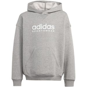 Adidas All Szn Hoodie Grijs 15-16 Years