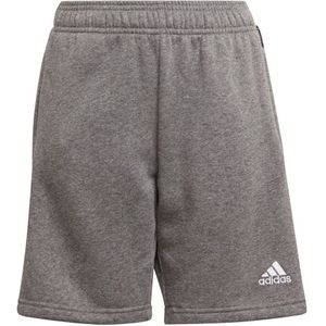 Adidas Tiro 21 Shorts Grijs 13-14 Years