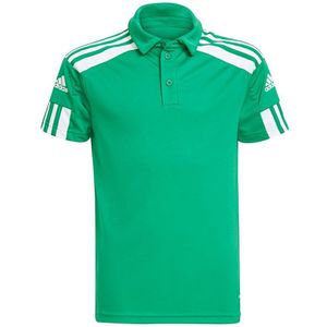 Adidas Squadra 21 Short Sleeve Polo Groen 15-16 Years