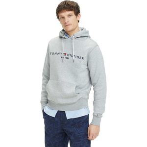 Tommy Hilfiger Core Logo Hoodie