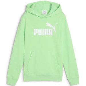 Puma 684909 Ess Nº1 Logo Hoodie