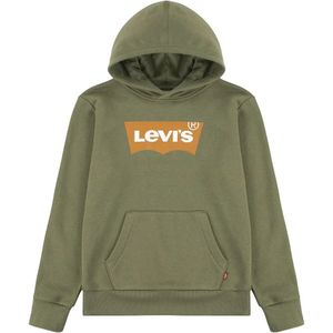 Levi´s ® Kids Batwing Screenprint Hoodie