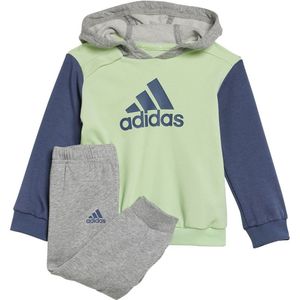 Adidas Colorblock Joggers Groen 9-12 Months Jongen