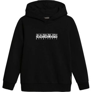Napapijri B-box 1 Hoodie