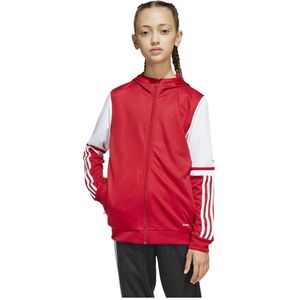 adidas - Squadra 25 - Hooded Trainingsjack - Rood - 100% Gerecycled Polyester