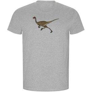 Kruskis Dino Run Eco Short Sleeve T-shirt Grijs 3XL Man