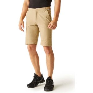 Regatta Highton Long Shorts Beige 30 Man