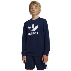 adidas - Sweatshirt - Grijs - Katoen/Polyester - Junior