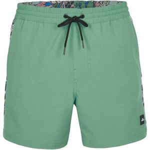 O´neill Coast Ocean 15´´ Zwembroek