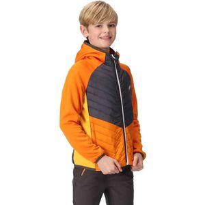 Regatta Kielder Vii Jas