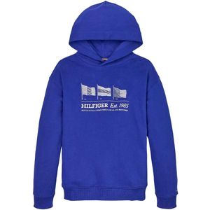 Tommy Hilfiger Waving Flag Hoodie