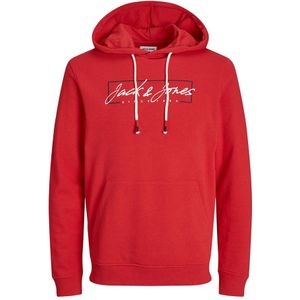 Jack & Jones 12254870 Zuri Hoodie