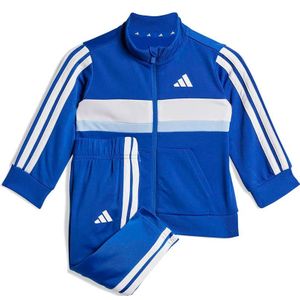 adidas - Trainingspak I 3S TIB TS - Royal Blue/Glow Blue/White - 2-delig