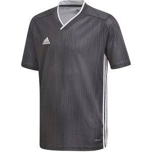 Adidas Tiro 19 T-shirt Met Korte Mouwen