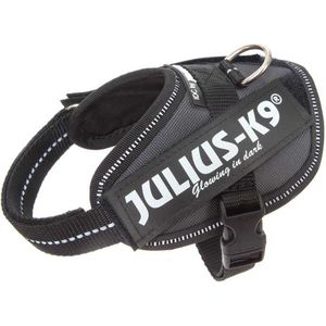 Julius K-9 Idc® Power Baby Harness Grijs Baby 2