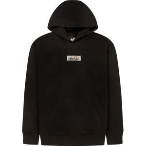 Ellesse Dragon Hoodie