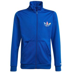 Adidas Originals Sweatshirt Blauw 14-15 Years Jongen