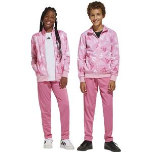 Adidas Seasonal Essentials Logo Celebration Tricot Trainingspak