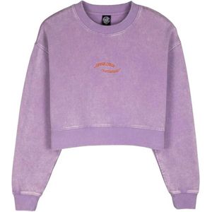 Santa Cruz Crew Tte Swirl Sweatshirt