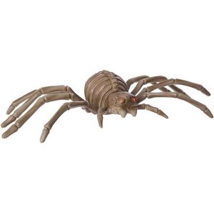 Viving Costumes Spider Skeleton With Sound Light And Movement Goud