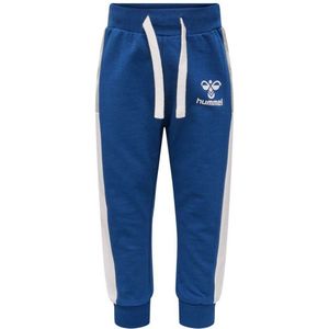 Hummel Skye Tracksuit Pants Blauw 6-9 Months