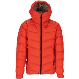 Rehall Drago-r Dxr Jas