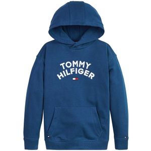 Tommy Hilfiger Flag Hoodie Blauw 10 Years Jongen