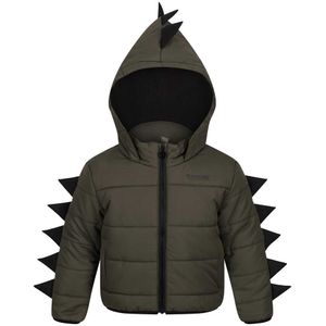 Regatta Character Winter Jacket Groen 24 Months-3 Years Jongen