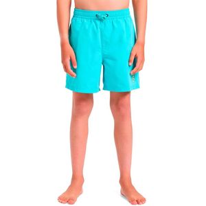 Quiksilver Spl Fineline Volley 14 Zwembroek