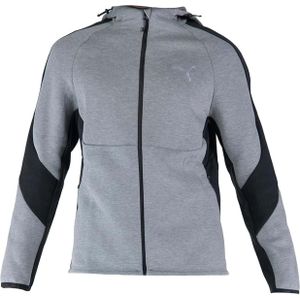 Puma Evostripe Dk Sweatshirt Met Rits