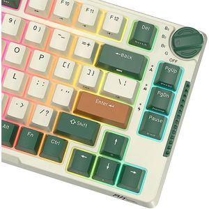 Royal Kludge - RK H81 - Draadloos Mechanisch Toetsenbord - RGB - Sky Cyan Switch