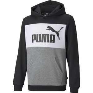 Puma Ess+ Colorblock Hoodie Grijs 7-8 Years Jongen
