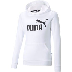 Puma Essential Logo Hoodie